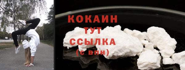 соль ск Белокуриха