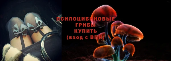 a pvp Беломорск