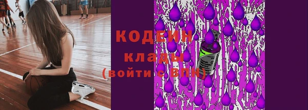 соль ск Белокуриха