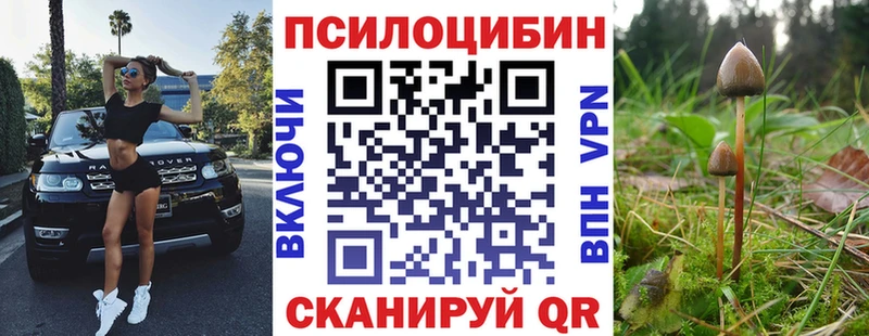 Галлюциногенные грибы ЛСД  где продают   Мышкин 
